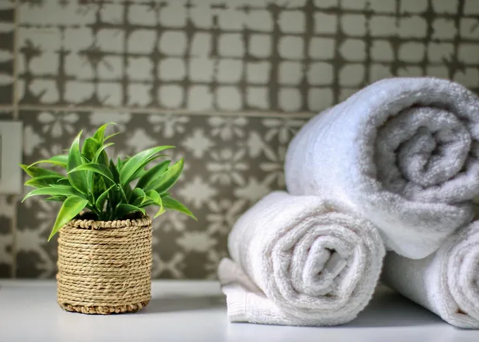 Guest - 8 Apartament