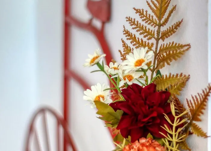 Apartament Guest - 8 Bucureşti