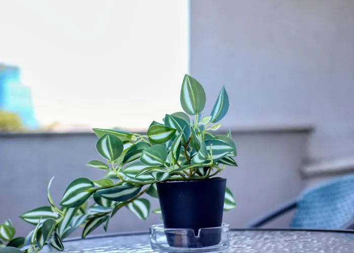 Guest - 8 Apartamento Bucareste